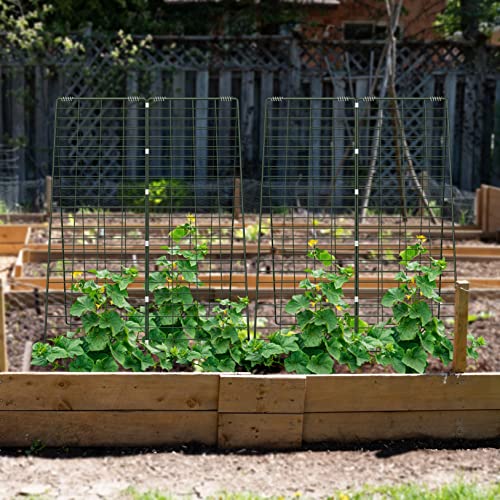 AGTEK 34" x 48" Foldable Metal Cucumber Trellis， for Climbing Plants, Cucumber, Vegetable, Flowers - size: 34"W x 48"H
