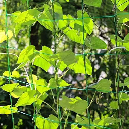 Plant Climbing Net Heavy-Duty Nylon Plant Climbing Net - Portable Flower Vine Climbing Frame for Garden, Vegetable & Flower Plants - Breathable Mesh Design Prevents Damage & Allows Growth