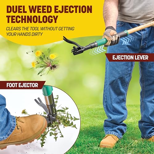 Papa's Tools Weed Puller Tool, 44" Stand Up Weeder Garden Tools & 4 Claw Steel Head, Dual Weed Eject Tech. Made with Real Bamboo & Long Wooden Handle, Yard Weeding Remover for Gardening Men & Women - color: Natural / Green