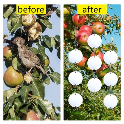 Reflective Bird Scare Discs,Anti-Birds Collision,24 Set Double-Sided Reflectors Scare Devices,Keep Pigeon and Migrant Bird Away,Suitable for Garden, Porch,Floor-to-Ceiling Windows - size: 24 count