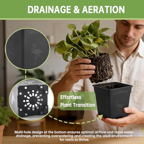 36 Pack 5.5 Inch Square Nursery Pots, Plastic Flower Pots with Drainage, Plant Pots for Plants, Reusable Planting Pots Planter for Seedlings, Transplanting & Indoor Use