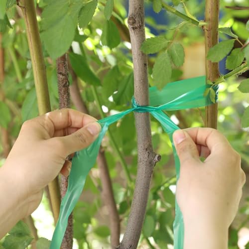 Easytle Stretch Tie Tape Roll, 1" 150ft Garden Tie Tape Reusable Garden Plant Ties Thick Sturdy Plant Ribbon Garden Green Vinyl Stake Gardening Tools for Indoor Outdoor Patio Plant Use