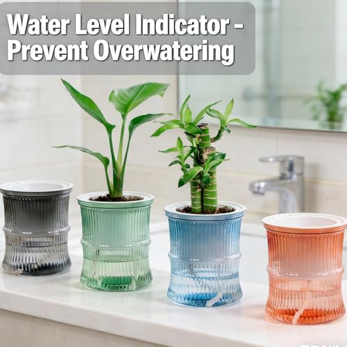 Lazy Hydroponic Flower Pot Automatic Water-Absorbing Plant Pot Transparent Double Layer Plastic Self Watering Planter Office Home Greenery Decor(Gray) - color: Gray
