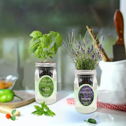 2-Pack Hydroponic Mason Jar Herb Garden Kit, Indoor Herb Garden Self-Watering Starter Kit (Basil,Lavender)