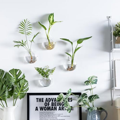 Wall Mount Plant Propagation Station - Clear Hydroponic Glass Vase, Oblate Planter for Indoor Plants | Perfect for Home, Office, Bathroom Decor | Gift for Plant Lovers (2)