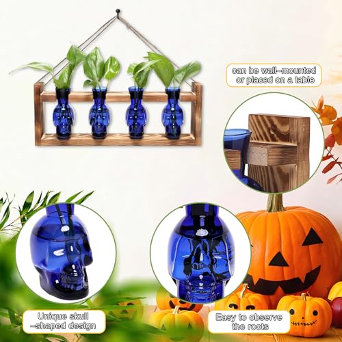 Plant Propagation Stations Halloween Skull Plant Terrarium Kit - color: Blue