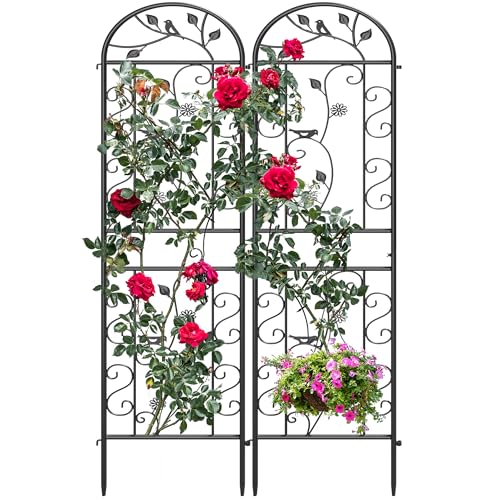 2-Pack 87" x 20" Daisy & Bird Arch Black Metal Garden Trellises - color: 2 Pack 87"- Daisy & Bird Black