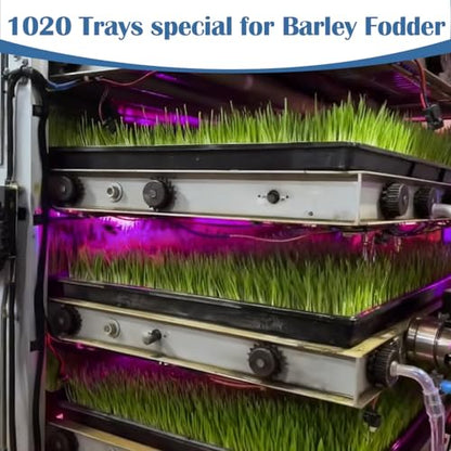 50-Pack Heavy-Duty 1020 Seed Trays No Holes, Thick Plastic Plant Flats - color: Black, size: 50-Pack No-Hole 1020 Trays