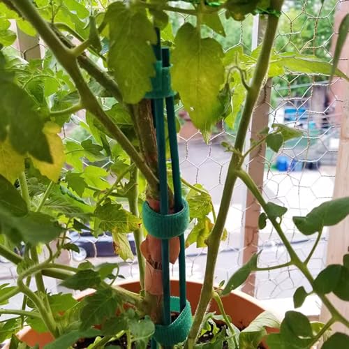 TIHOOD 100PCS 18" Wooden Garden Stakes with 100PCS 4" Garden Ties, Green Bamboo Sticks, Floral Plant Support, Tomato Stakes - color: Green