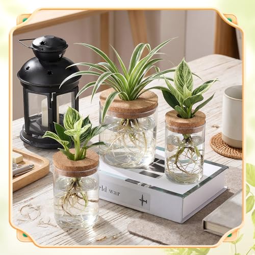 12 Pack Plant Propagation Station with Hole Lid Plant Propagation Jars Plants Plastic Propagations Stations Planter Vase Hydroponic Vases for Home Desktop Office Decoration, 3 Sizes