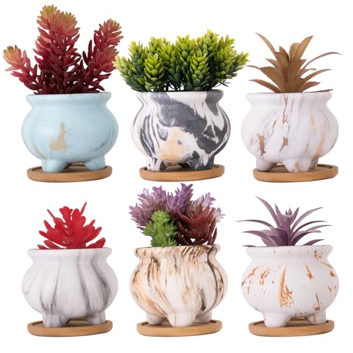 Succulent Pots, 3.8 Inch Small Plant Pot with Drainage Trays Set of 6 - color: Marble 3