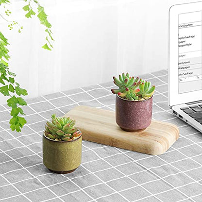 T4U Mini Succulent Pots, Small Ceramic Planters, Retro Gift Set of 6 - size: 2.4"*2.4"