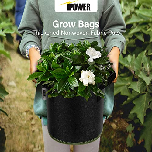 iPower 3-Gallon 10-Pack Grow Bag Thickened Nonwoven Fabric Pots Heavy Duty Aeration Container with Strap Handles for Garden and Planting Vegetable Flowers, Black with Green Stitch Sewing - color: Green, size: 3 Gallon