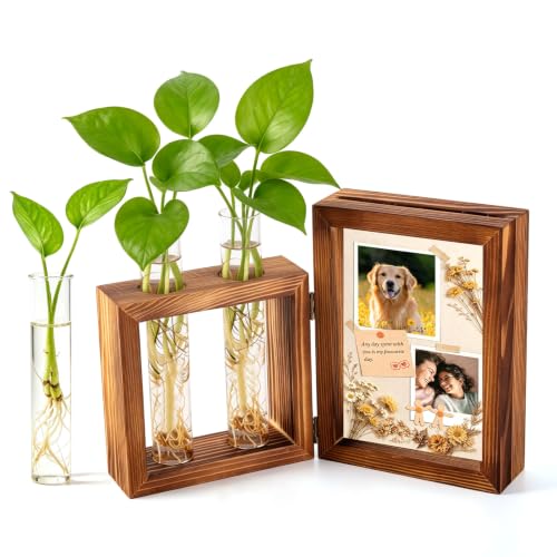 Plant Propagation Station with Wooden Picture Frame, Desktop Home Decor