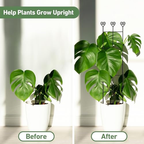 32in Large Indoor Plant Trellis for Climbing Plants, Expandable Metal Garden Trellis for Potted Plants, Tall Plant Supports for Ivy Pothos Hoya Monstera, 4p - size: 32in/4p