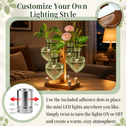 Plant Terrarium Propagation Station with 4 Heart Glass Vases - Green - color: Green