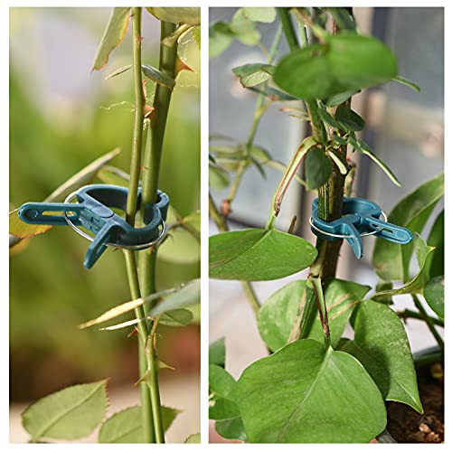 PERSZEN Plant Support Clips, 120 PCS Gentle Flower Plant Clamps for Supporting Vine Climbing Plants, Gardening Lever Loop Gripper Clips Help Stems Vines Grow Straight Upright, 2 Sizes in one Pack - size: 120
