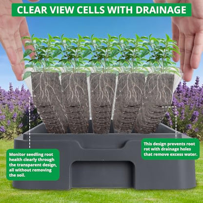 Sondiko Seed Starter Tray with Grow Light, Heated Seed Starter Kit - color: Gray
