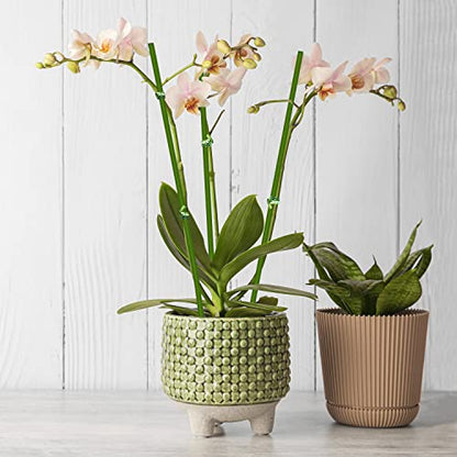 20Pcs Plant Stakes, 18IN Orchid Support Stakes for Indoor Plants - size: 18 Inches