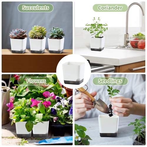 Oliz 3" Small Succulent Pots, 20pk Plastic Planters w/Drainage & Saucers - size: Mini White Pots 20 Pack