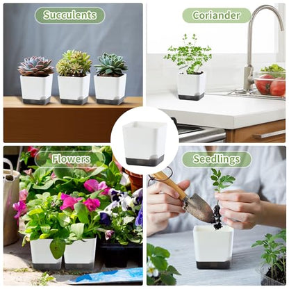 Oliz 3" Small Succulent Pots, 20pk Plastic Planters w/Drainage & Saucers - size: Mini White Pots 20 Pack
