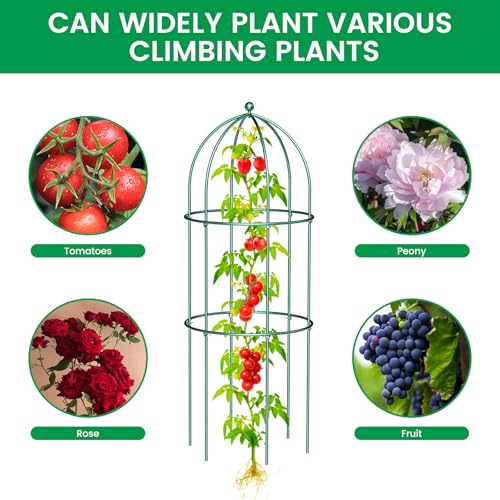 SUNYRISY 3 Pack Metal Plant Support Cage for Tomato Peony Cucumber - size: 31.5 x 15.7 in
