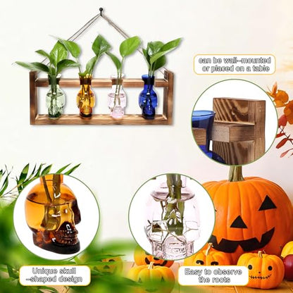 Plant Propagation Stations Halloween Skull Plant Terrarium Kit - color: Color02