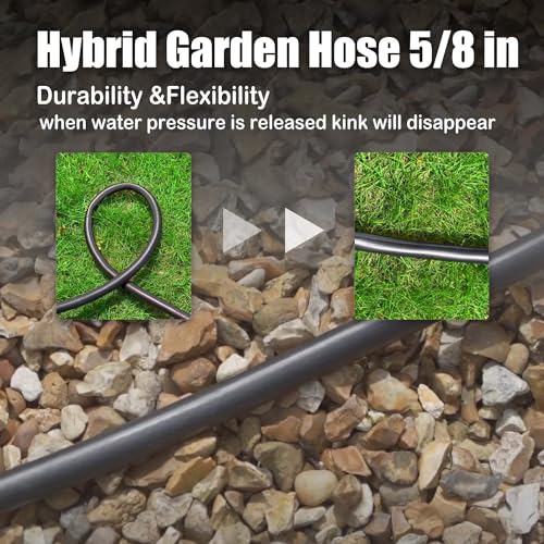 10FT Female to Female Leader Hose, 5/8 in, 3/4 GHT Brass Fittings - size: 10FT ( Female - Female )