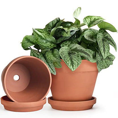 INGOFIN Terracotta Pots Set with Saucer - 2-Pack Ceramic Clay Planters with Drainage Hole, Garden Flower Succulent Pots with Tray for Indoor Outdoor Plants, 8 inch, Set of 2 - size: 8/8 inch -2 pcs