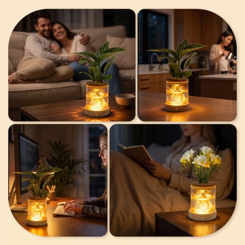 Plant Propagation Station with Wooden Saucer, Glass Terrarium with Dimmable Function Hydroponic Container Vase Jars Gardening Gifts for Mom Women Plant Lovers(4 Pack) - color: 4 Pack Cylindrical
