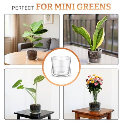 Sheer Glass Pot Planter with Drainage Holes & Tray - Decorative & Modern for All House Plants (4 Inches) - size: 4 Inches