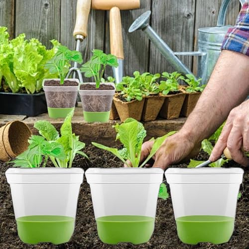 3Pcs Square Plastic Nursery Pots, Clear Plant Pot with Soft Silicone Base for Easy Transplant, Flower Pots with Drainage Holes, Reusable Seedling Pot (7.8x7.8x7.8cm) (7.8x7.8x7.8cm) - color: 3pcs