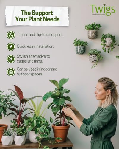 Stackable Monstera Plant Support Stakes, Monstera Dark Green, 10-Pack 17" L - color: Monstera (Dark Green), size: Stackable (10 Pack)