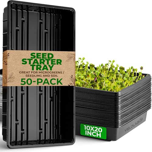 10x20 Inch Black Plastic 50 Pack Plant Propagation Tray No Holes - color: Black, size: 50-Pack