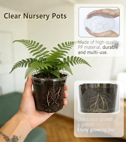30-Pack Clear Nursery Pots with Drainage Holes (3.5/4/5 Inch) – Transparent Plastic Plant Pots with 30 Labels, Assorted Sizes for Seed Starting, Succulents, Indoor and Outdoor Use - color: Pots, size: 3.5/4/5"-30 sets