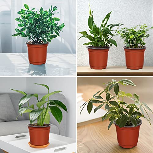 Augshy 40 Pcs 6 Inches Plastic Plant Nursery Seed Starting Pot for Outdoor - size: 6 Inch