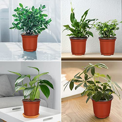 Augshy 40 Pcs 6 Inches Plastic Plant Nursery Seed Starting Pot for Outdoor - size: 6 Inch