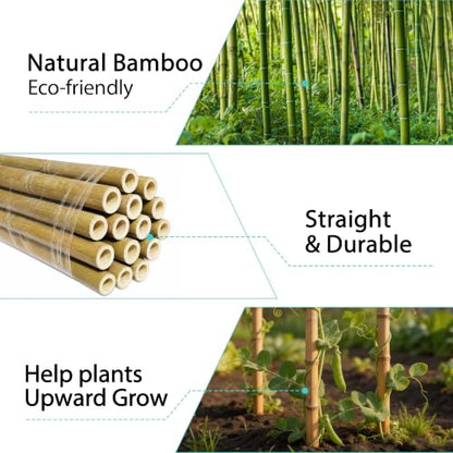 Bamboo Stakes 6FT, 20pcs Garden Stakes 72in Specifically Designed for Climbing Plants, Ideal for Tomatoes, Beans, Cucumbers, Peppers, Vines, and More Plant Growth - size: 6FT, 20pcs