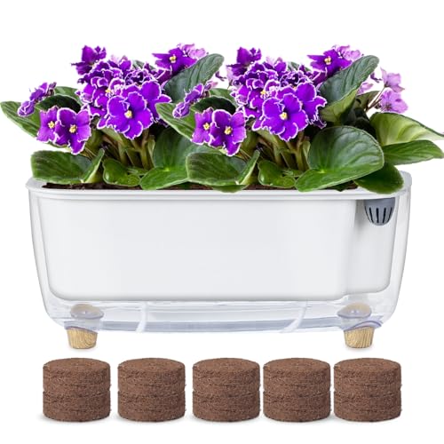 Oliz Self-Watering Planter with Coco Coir, Clear Modern Rectangular Pot
