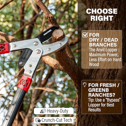 HAUTMEC Anvil Loppers for Tree Trimming Heavy Duty, Extendable 27-37'' Garden Loppers with Compound Action System, 2" Cutting Capacity,with replacement blades, HT0461 - color: Loppers & Blade