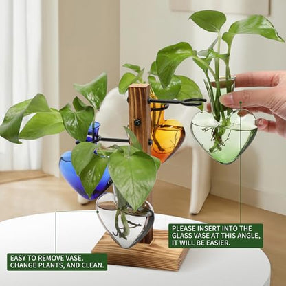 Plant Terrarium Propagation Stations with Wooden Stand - color: Color-02
