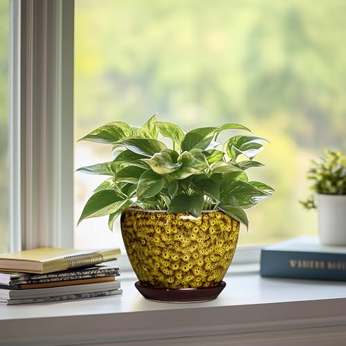 6 Inch Ceramic Plant Pot, Yellow Leopard - color: Yellow Leopard, size: 6 Inch