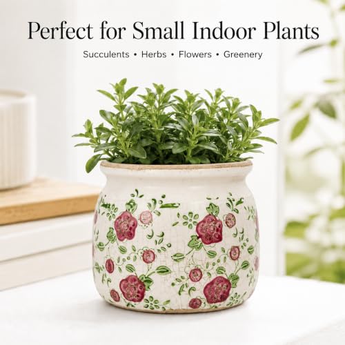 Dosayes Flower Pot,Vintage Ceramic Pot for Plant with Drainage Holes - color: Red