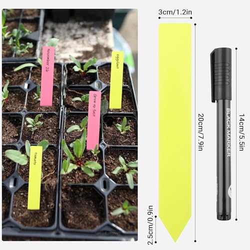 Greaner 50PCS Plant Labels, Colorful Garden Plant Markers, plants Markers for Outdoor Garden Waterproof, Herb Garden Markers for Indoor Outdoor plants for Plants, Seeds, Fruit Trees and Flowers-8 Inch - color: Multicolored, size: 1.1x8 Inch-50 PCS