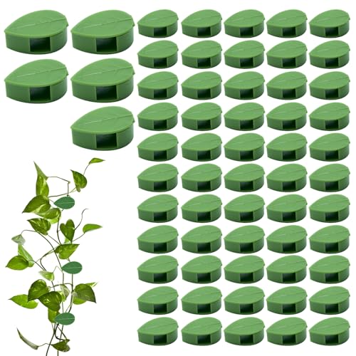 Plant Wall Clips for Climbing Vines Green Garden Stem Holder with Adhesive Climbing Wall Fixture Clips for Indoor Wall Decor, Office, Home (60 Packs) - size: 60 Pack
