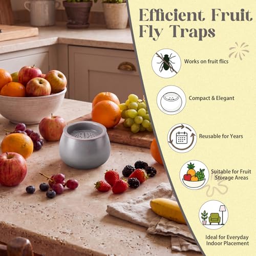 1 Pack Ceramic Fruit Fly Traps Reusable, Reactive Glaze, Light Blue Gray - color: Light Blue Gray, size: Reactive Glaze
