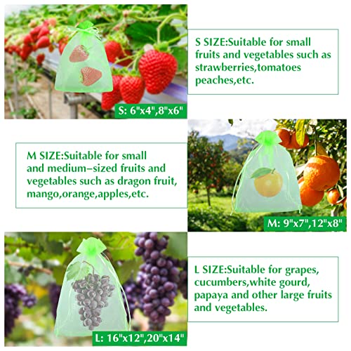 Kikhope Fruit Protection Bags, Garden Netting Bags 30 Pcs 16x12 inch Green - size: 16x12 in (30 pcs)