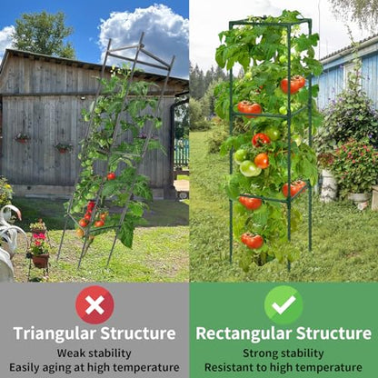 ROADPLUM 2 Pack 48" Tomato Cage for Garden, Heavy Duty Adjustable Plastic Coated Steel Pipe Tomato Stakes Trellis Plant Cages for Vegetable, Fruit, Flower, Rose Vine Climbing Plants - size: 2 PACK