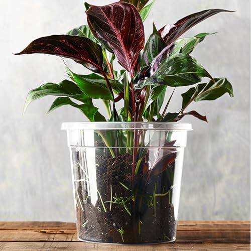RAOOKIF 30 Pack 1 Gallon Pots with Drainage Holes, 7 Inch Clear Nursery pots, 1 Gallon Plastic Plant Pots for Seedlings, Clear Seed Starters, and Flower Planting - size: 7 Inch