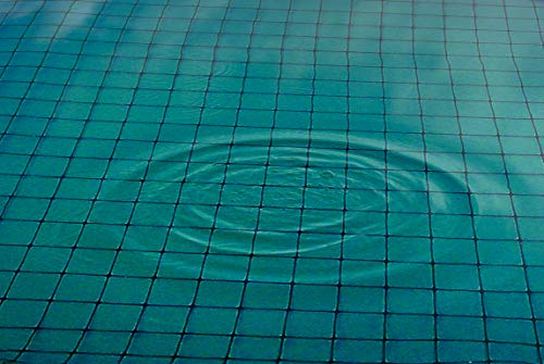 DeWitt Pond Netting, 10 by 12-Feet
